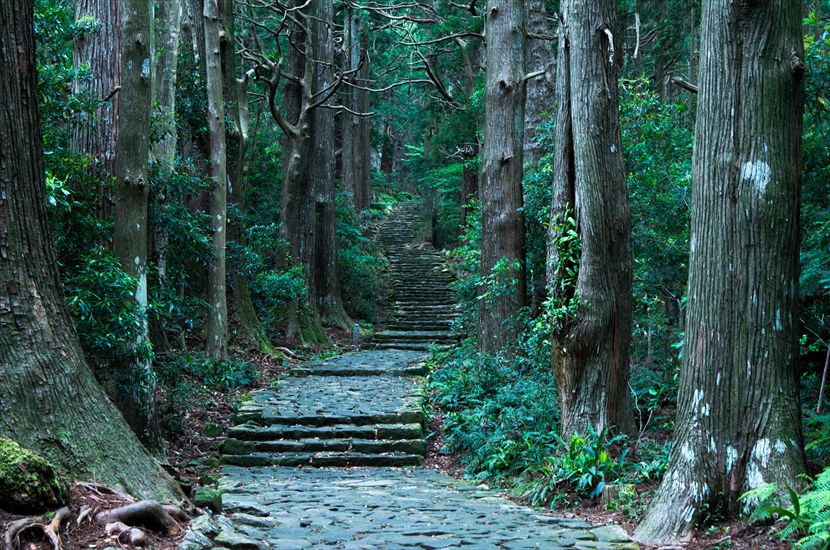 大門坂 和歌山観光 熊野古道 絶景に行こう