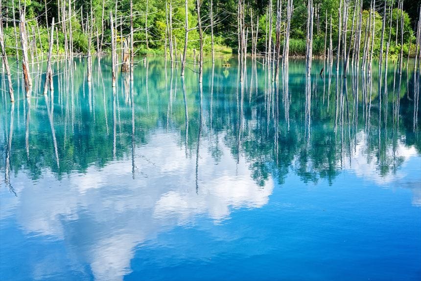 青い池に映る青い空