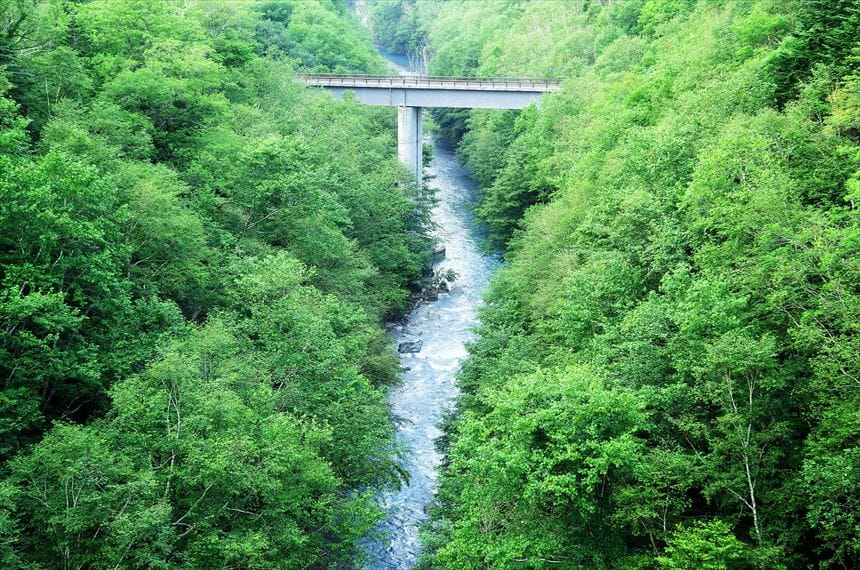 白ひげの滝の下を流れる青い美瑛川(ブルーリバー)