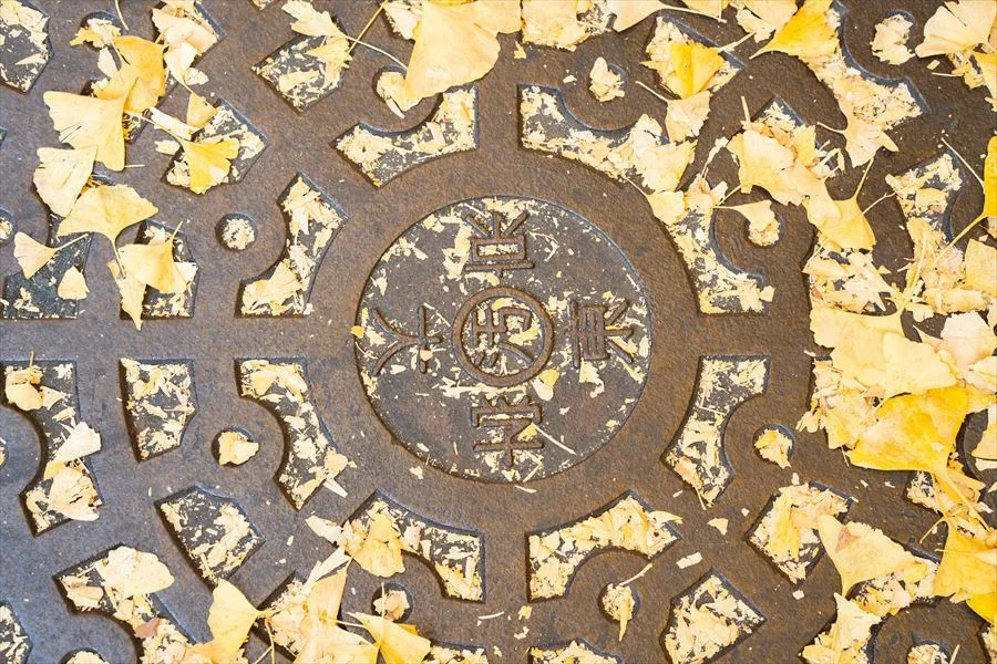東京大学の校章が入ったマンホールの蓋