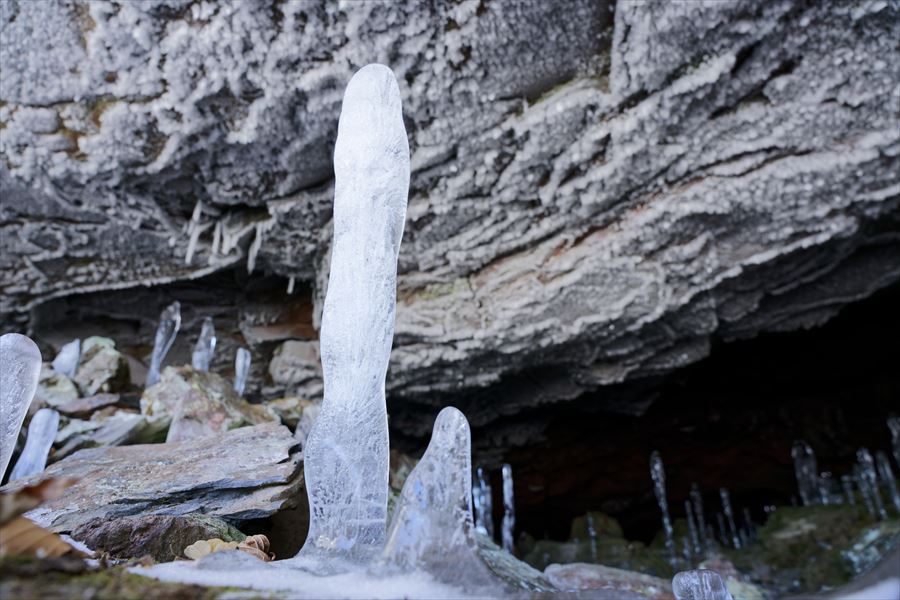 大幽洞窟　氷筍