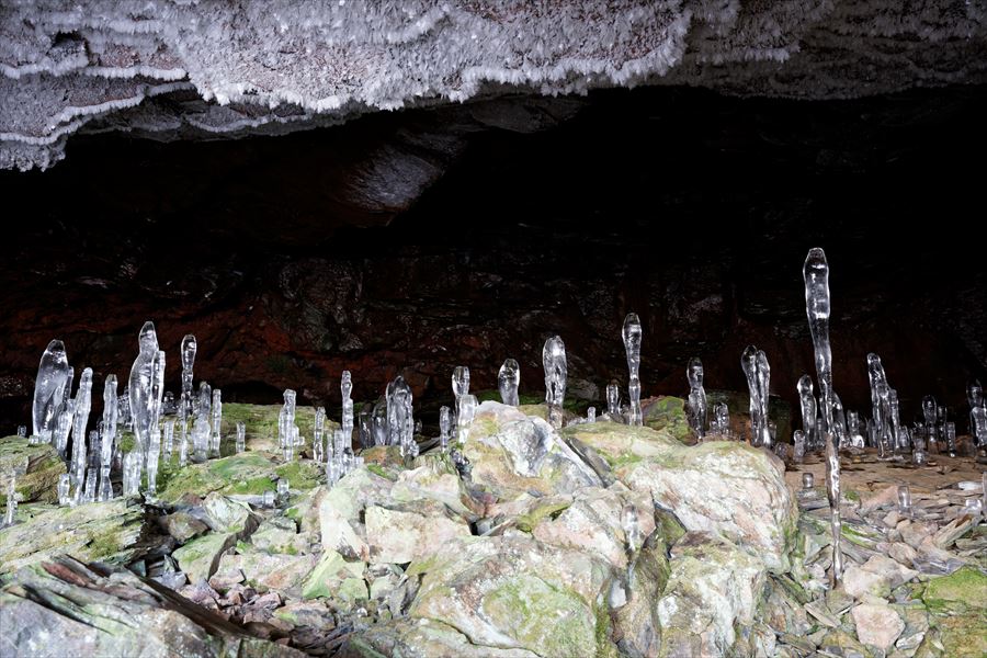 大幽洞窟　氷筍