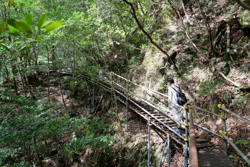 不動七重の滝展望台への急な階段を登るハチさん