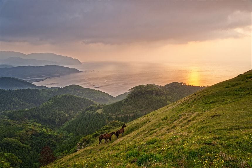 都井岬と御崎馬