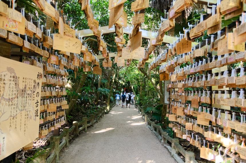 青島神社 奥に広がる亜熱帯植物