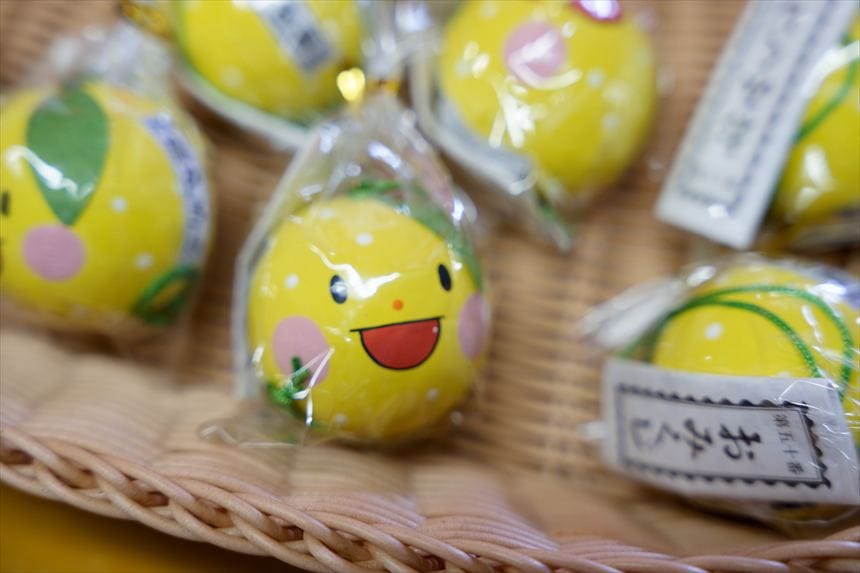 鵜戸神宮の日向夏おみくじ