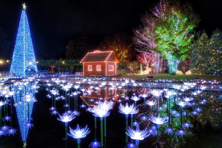 あしかがフラワーパーク　イルミネーション