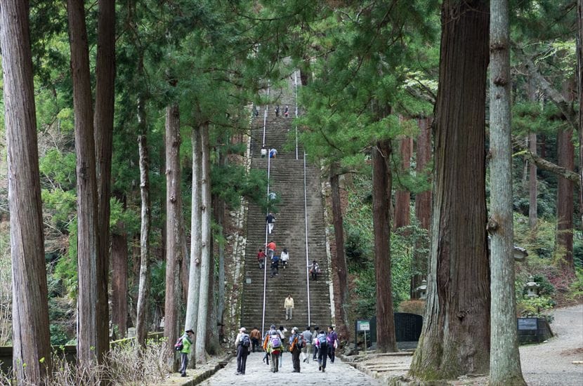 久遠寺周辺道路 久遠寺への試練の道、菩提梯