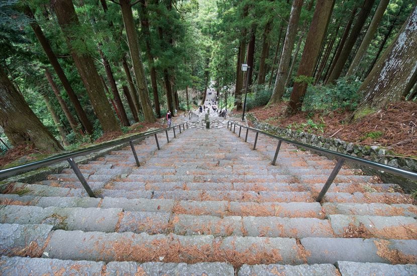 久遠寺 菩提梯 久遠寺への試練の道、菩提梯