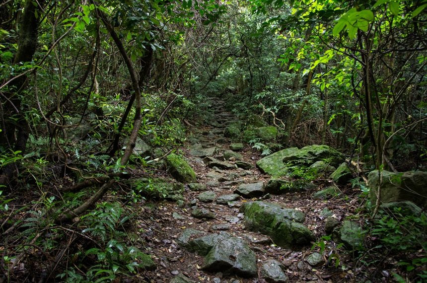 行縢の滝(むかばきのたき)アクセス 登山道