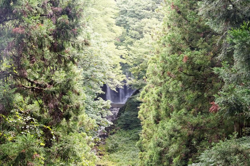 展望台からの眺め