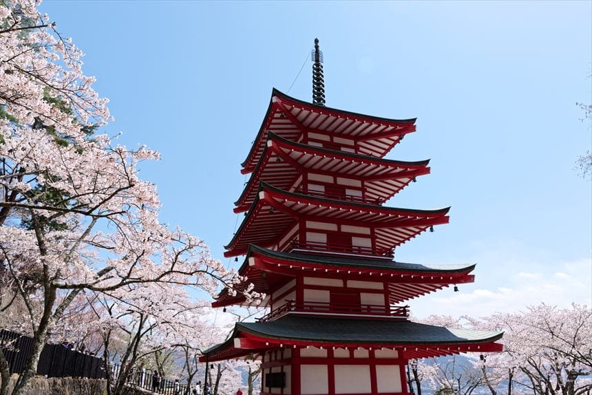新倉山浅間公園 桜と五重塔