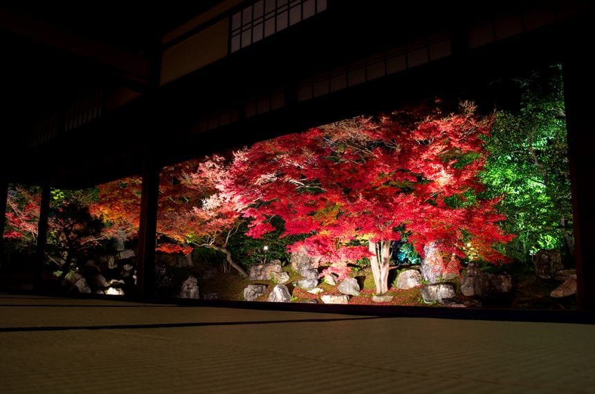 圓徳院　北庭紅葉