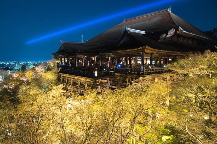 清水寺 清水寺 清水の舞台 桜ライトアップ