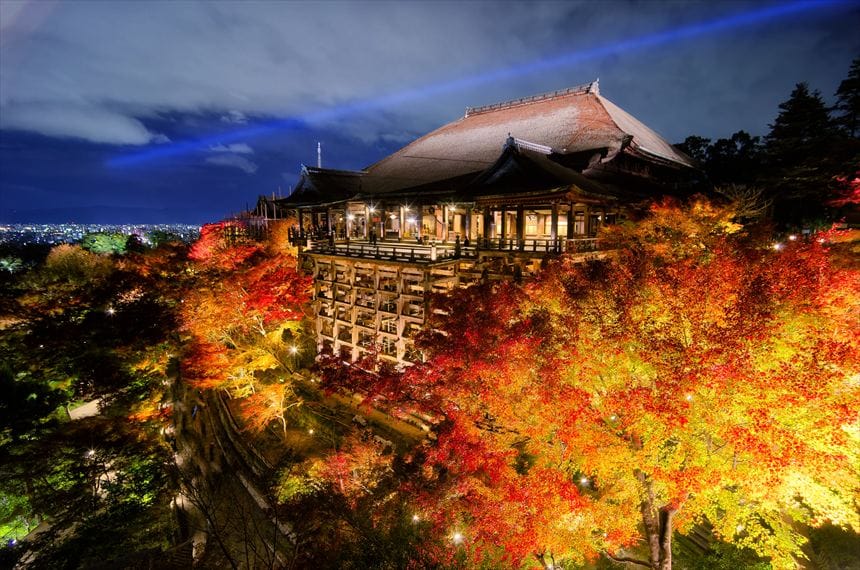 清水寺 清水寺 清水の舞台 紅葉ライトアップ