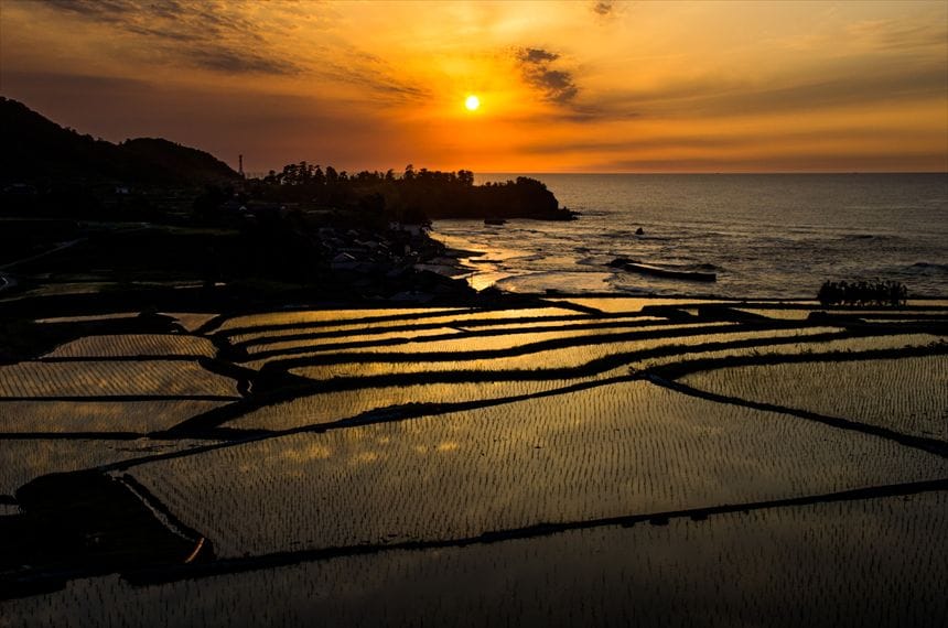 袖志の棚田と夕日