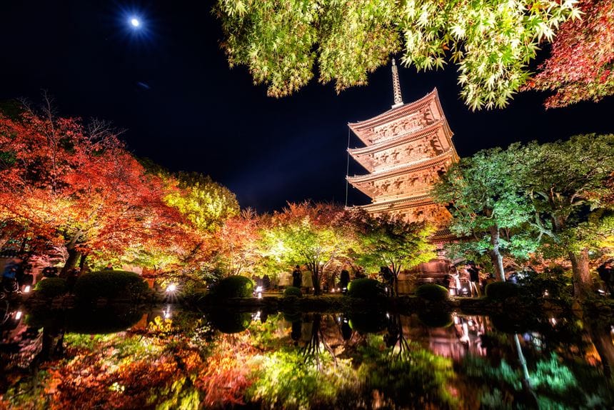 東寺 紅葉 ライトアップ 夜間特別拝観