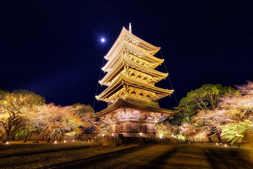 東寺 紅葉 ライトアップ 夜間特別拝観