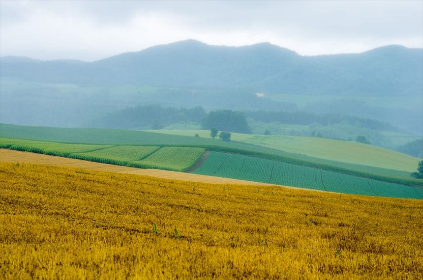 パッチワークの丘2