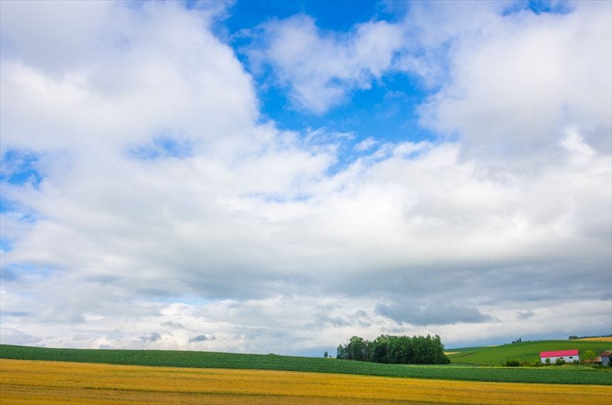 パッチワークの路