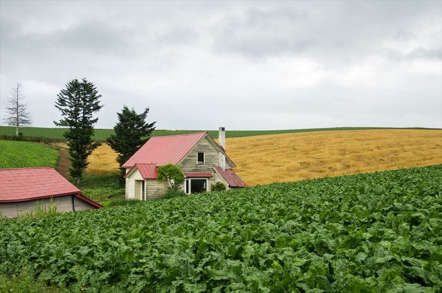 パッチワークの路