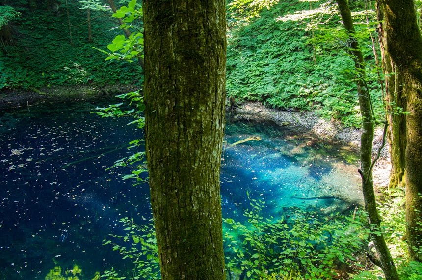 白神山地の青の池