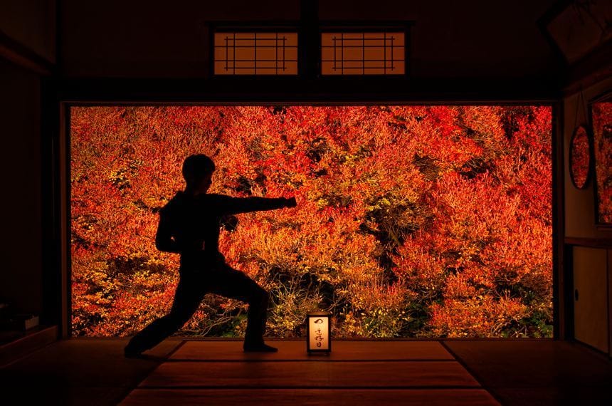 安国寺のドウダンツツジのライトアップとゴン 正拳突き