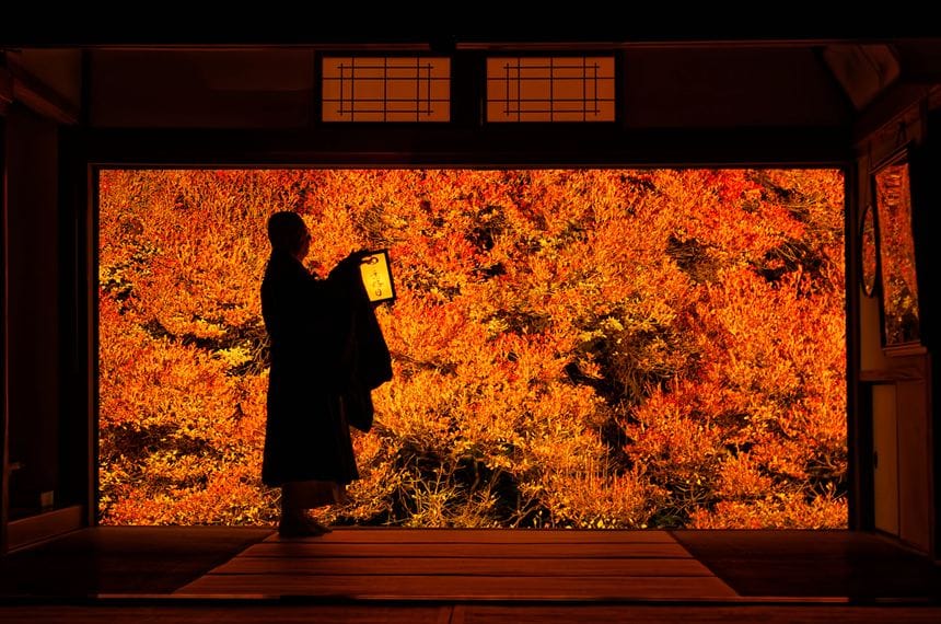 安國禅寺 安国寺のドウダンツツジのライトアップと和尚様