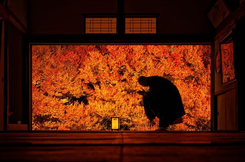 安国寺のドウダンツツジのライトアップと和尚様