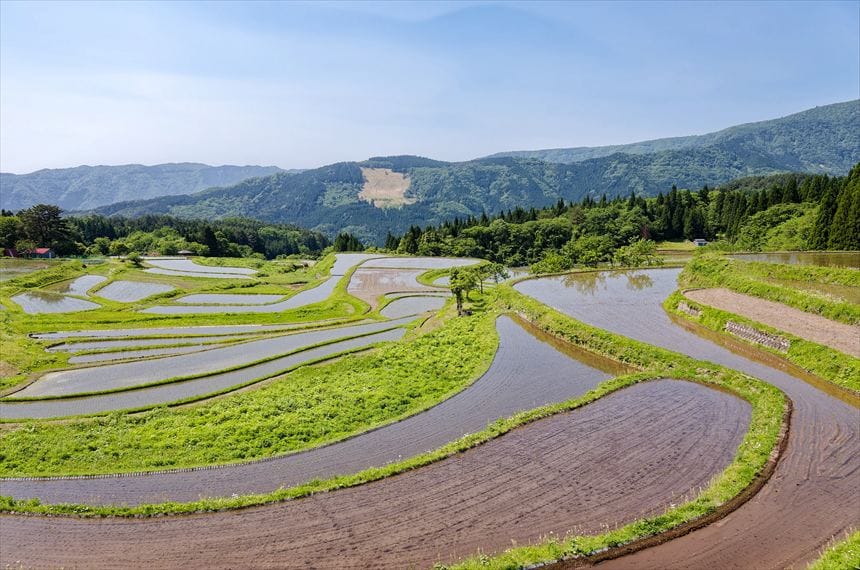 水の貼った別宮の棚田 青空でもいいが、少し雲が欲しいと思える風景