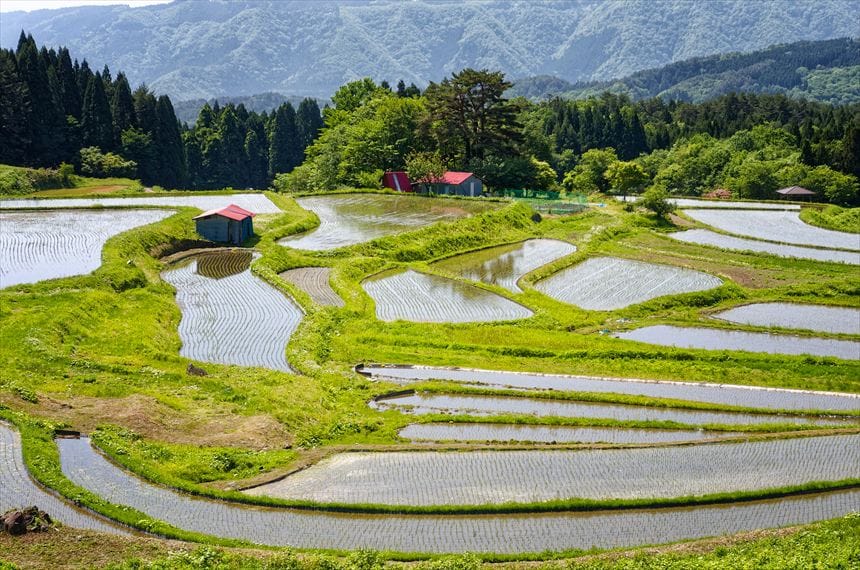 別宮の棚田 水鏡 水の貼った別宮の棚田 赤い小屋をアップで撮影