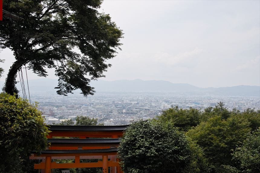 伏見稲荷上の方からの写真