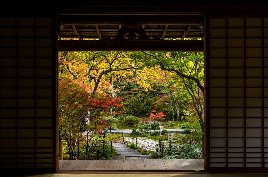 秋の宝筐院　11月21日撮影