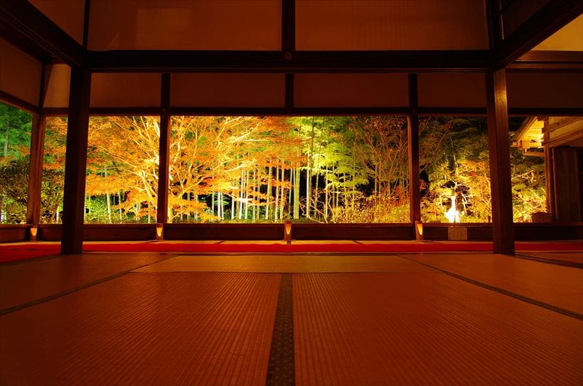 宝泉院 撮影日:12/4 18:30 宝泉院 秋の特別拝観