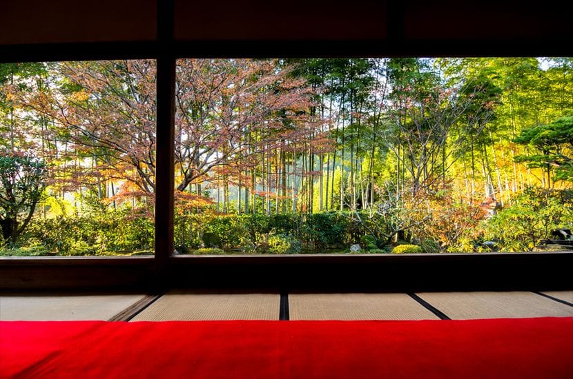 宝泉院 撮影日:12/4 16:00 秋の宝泉院(通常拝観