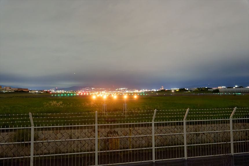 2025年の千里川土手の様子