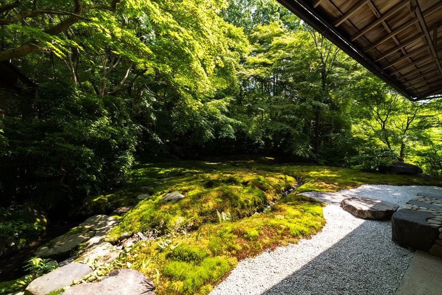 瑠璃光院の庭園