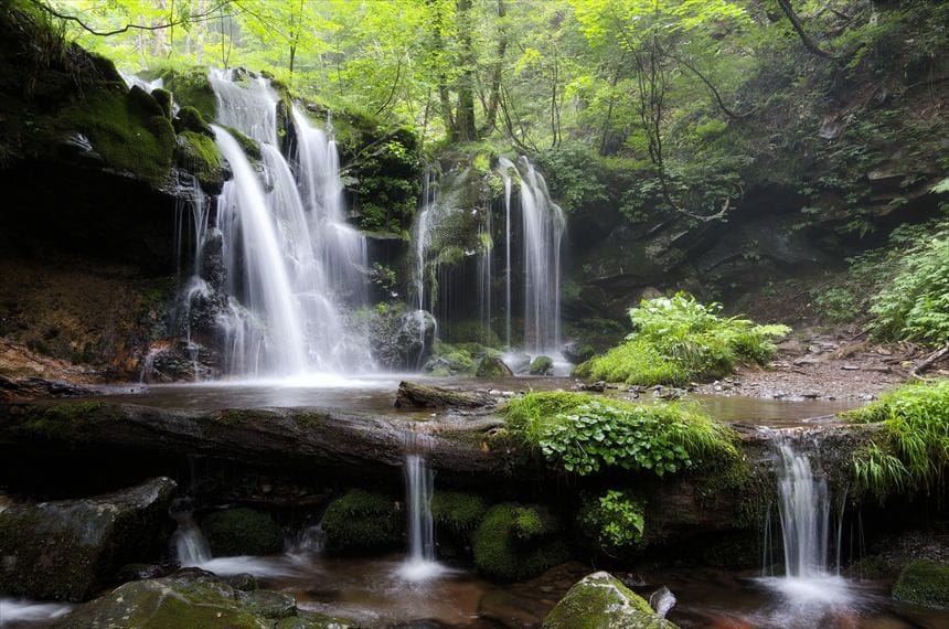 横から見た猿壺の滝は滝が重なり美しい