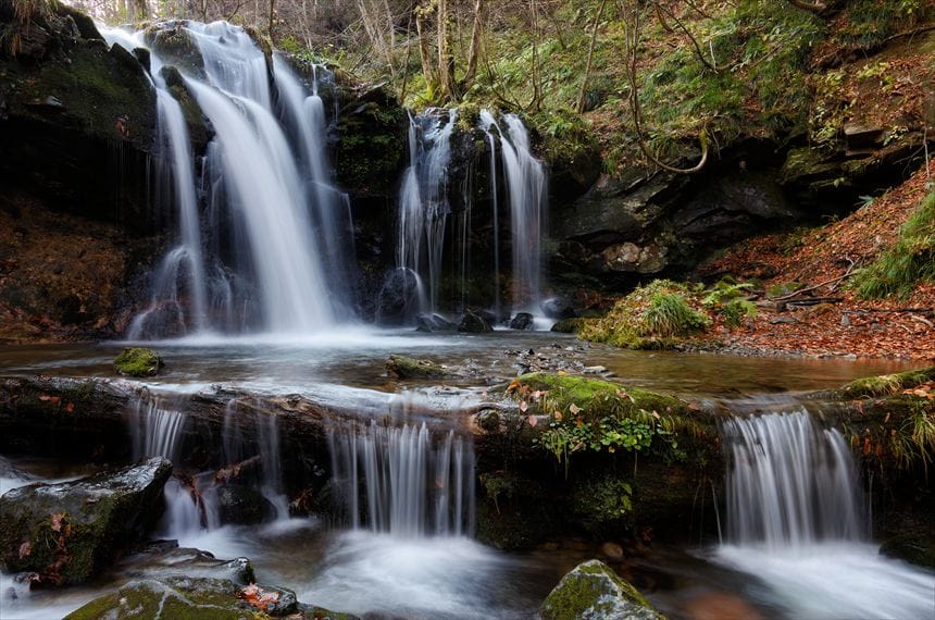 11月16日で既に落ち葉でいっぱいとなった猿壺の滝