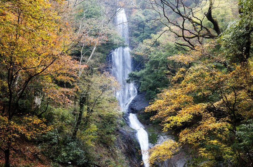 猿尾滝 紅葉の猿尾滝全体