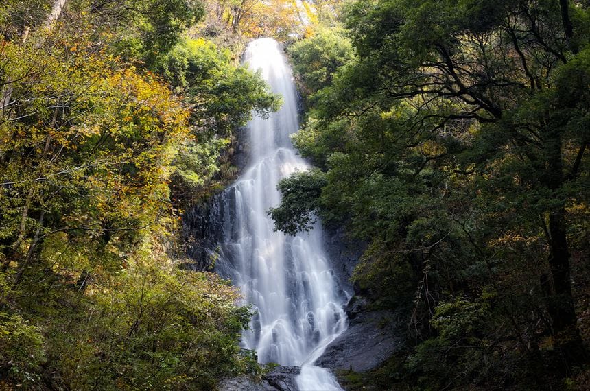 猿尾滝 紅葉に囲まれ、荒々しく流れ落ちる上段の雄滝