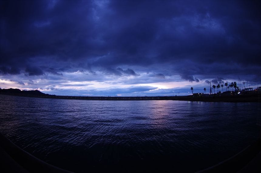 和歌山県 黒潮市場