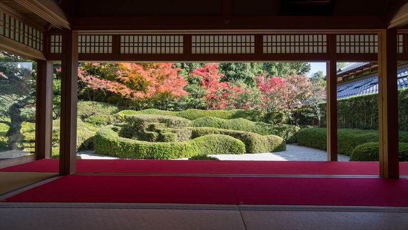 大池寺 大池寺 紅葉と庭園