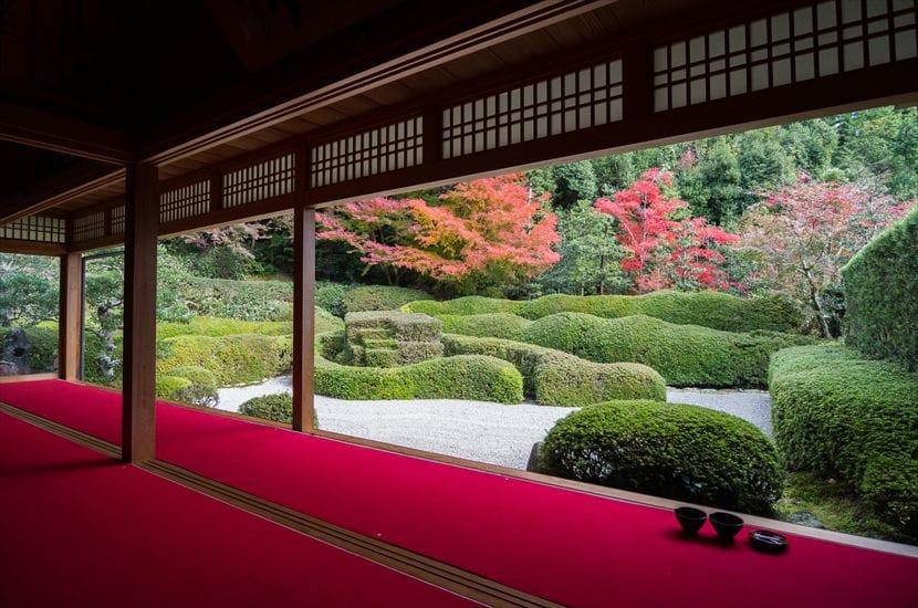 大池寺 11/23 12:15 撮影 大池寺 蓬莱庭園 紅葉とお抹茶
