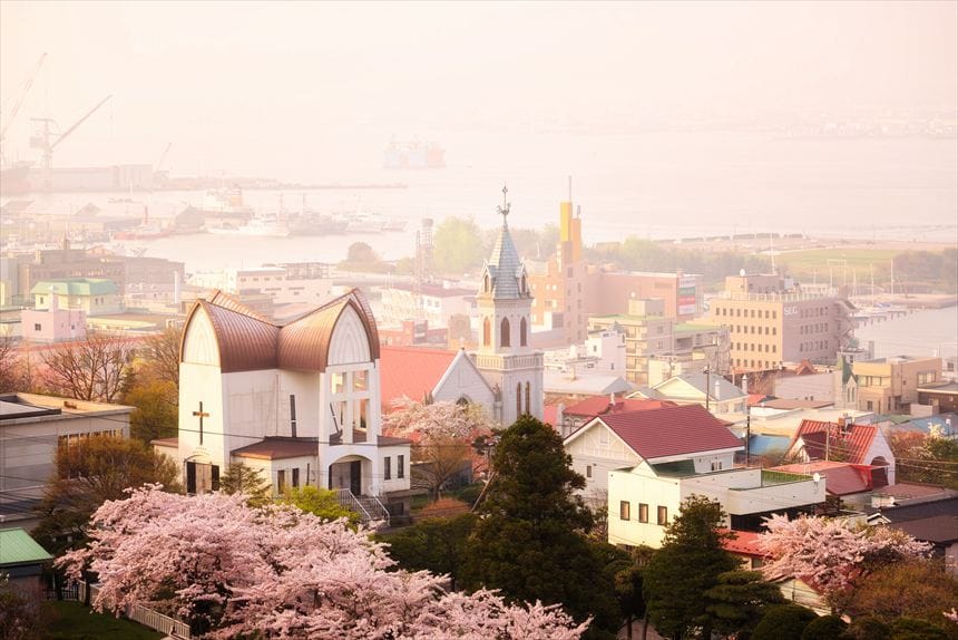 函館山ロープウェイから見た桜の咲いた函館の街と教会