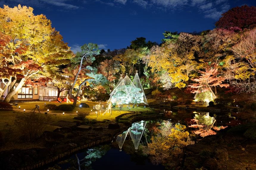 紅葉のライトアップ肥後細川庭園
