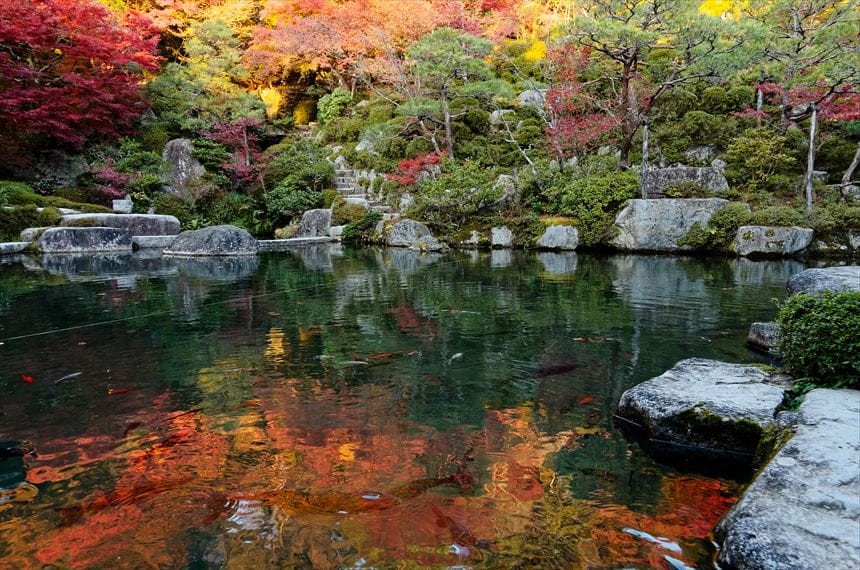 百済寺 本坊庭園