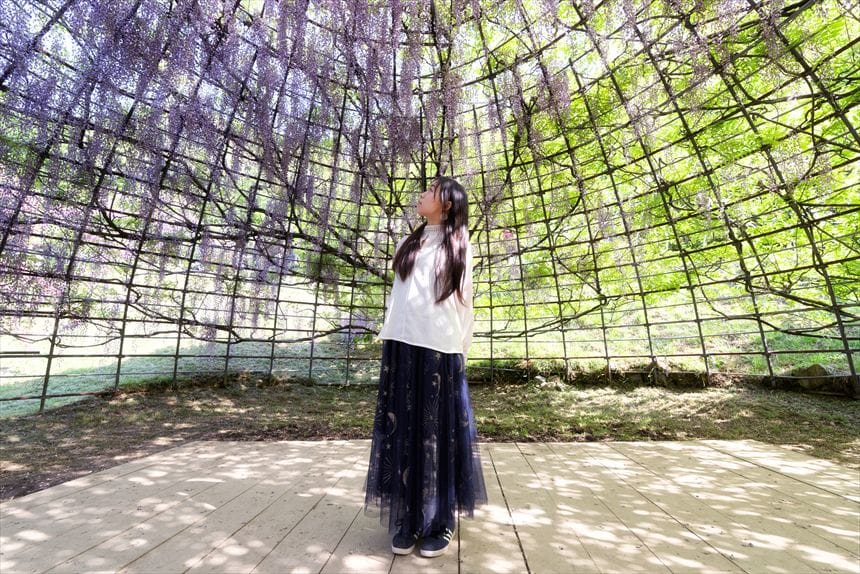 藤のドームでハチのポートレート