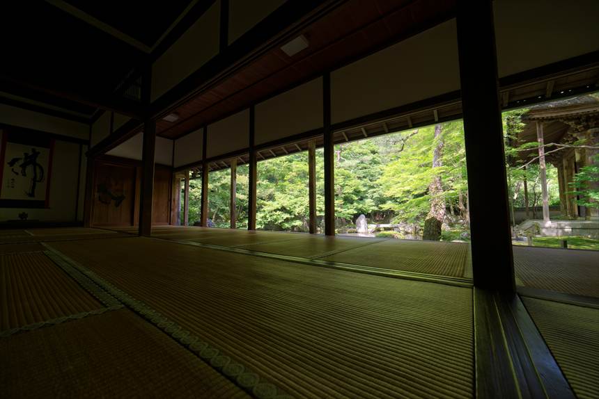 蓮華寺の三重額縁庭園と青モミジ