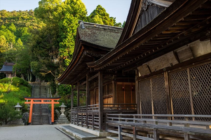 白髭神社 白髭神社 本殿